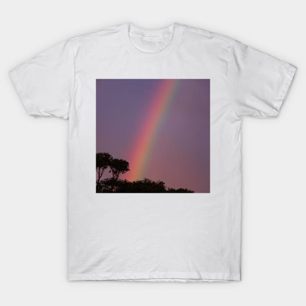 Rainbow Against Purple Sky T-Shirt by Geoff79